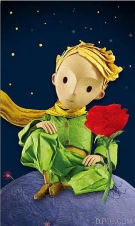 Little Prince With Red Rose.jpg