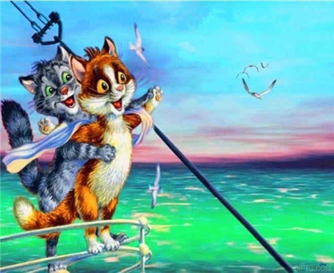 Cats Couple On Ship.jpg