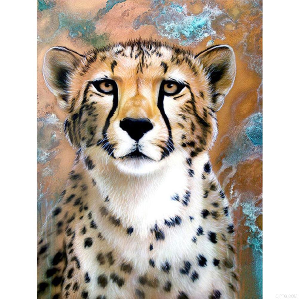 Leopard.jpg