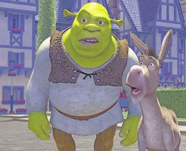 Crazy Shrek And His Donkey.jpg