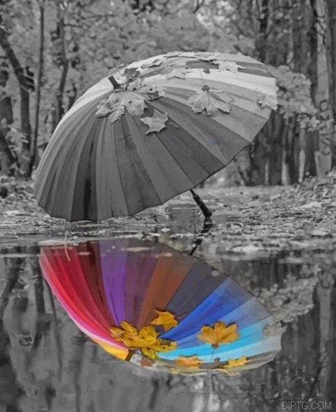 Umbrella Water Reflection.jpg