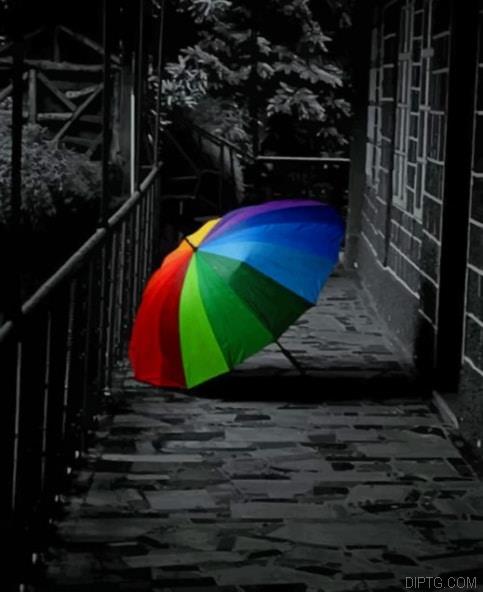 Black And White Colorful Umbrella.jpg