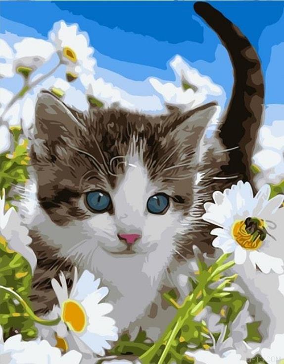 Flowers Cat .jpg