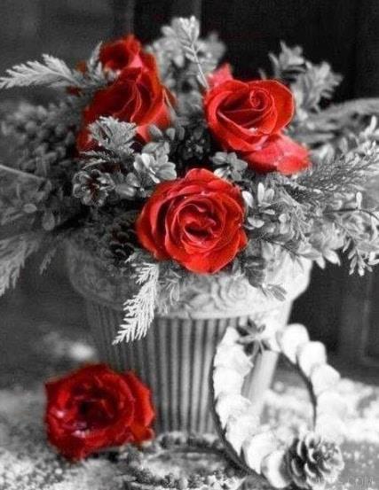 Red And Black Vase.jpg