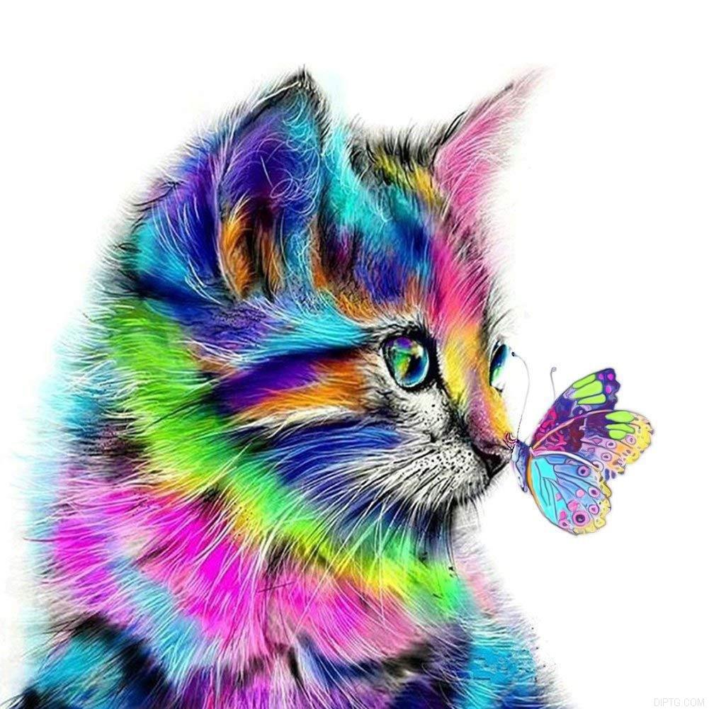 Cat And Butterfly.jpg