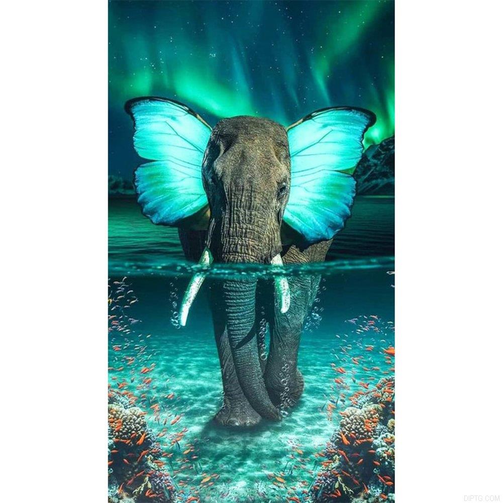 Butterfly Elephant.jpg