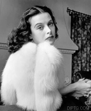 Hedy Lamarr Hedy Lamarr 362310.jpg