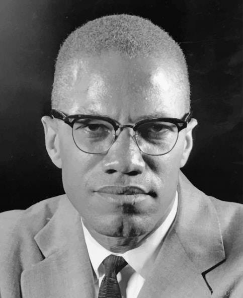 Malcolm X Canvas Painting.jpg