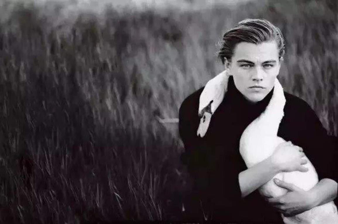 Leonardo Dicaprio Swan.jpg