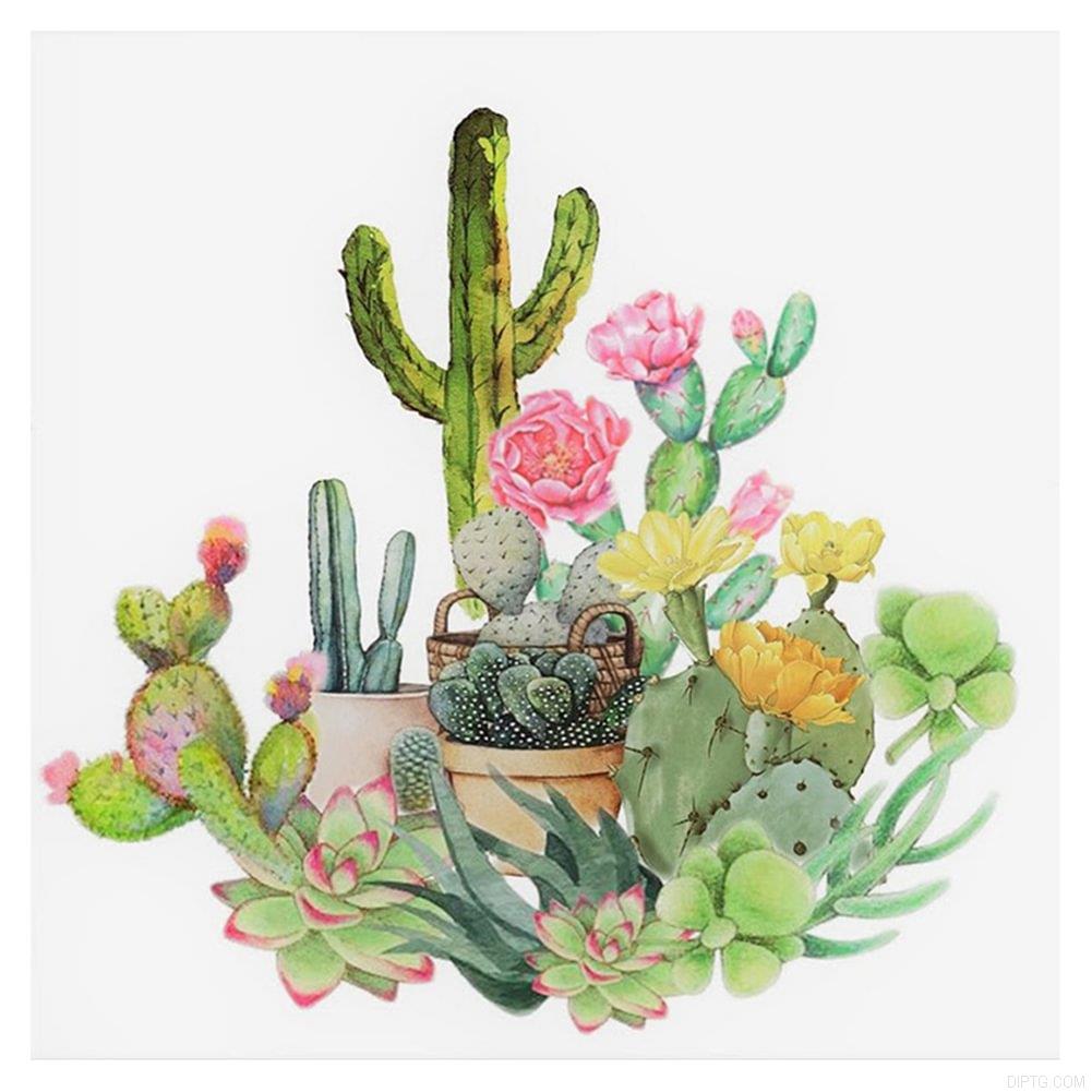Succulents And Cacti.jpg