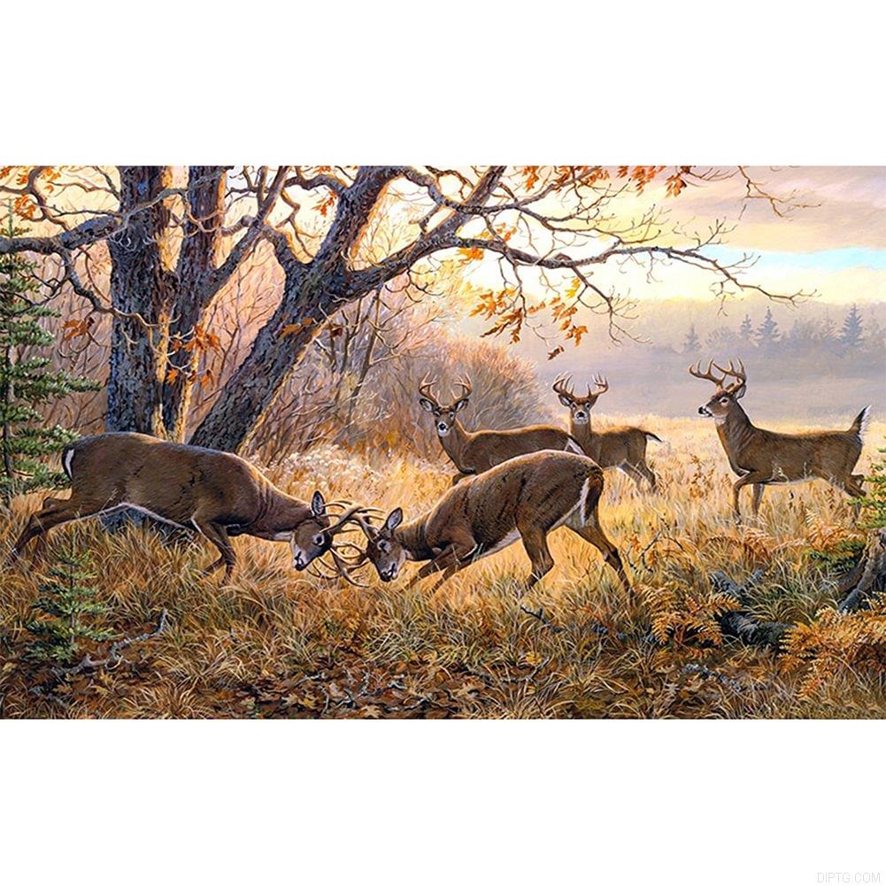 Deer 1308.jpg