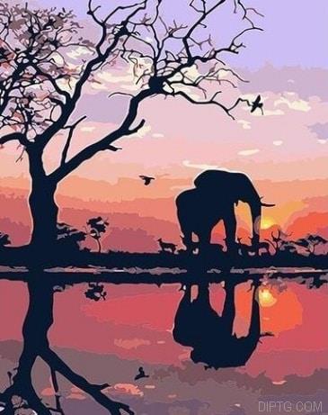 Elephant In The Sunset.jpg