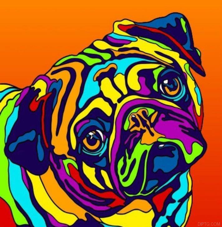 Dog Pop Art.jpg