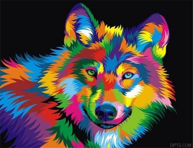 Colourful Wolf 5D Full Drill Diamond Painting