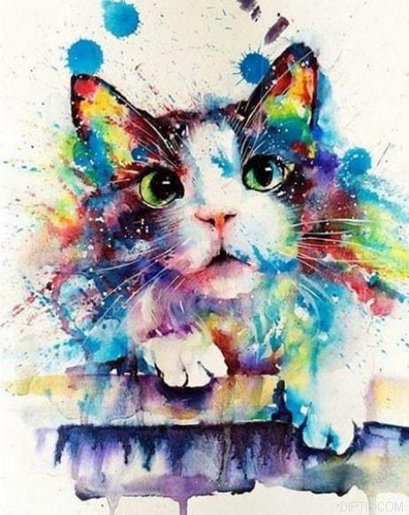 Rainbow Crazy Cat Paint 5D Full Drill Diamond Painting