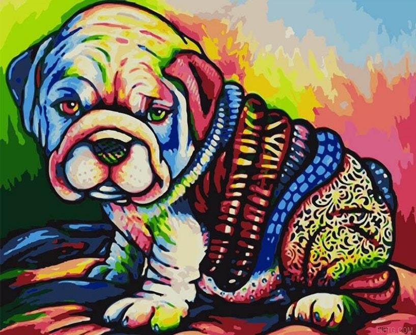 Bol Dog 5D Full Drill Diamond Painting