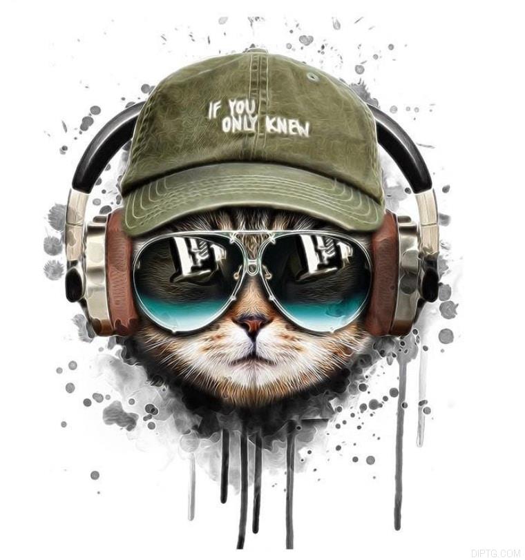 Cat Listening To Music 5D Full Drill Diamond Painting