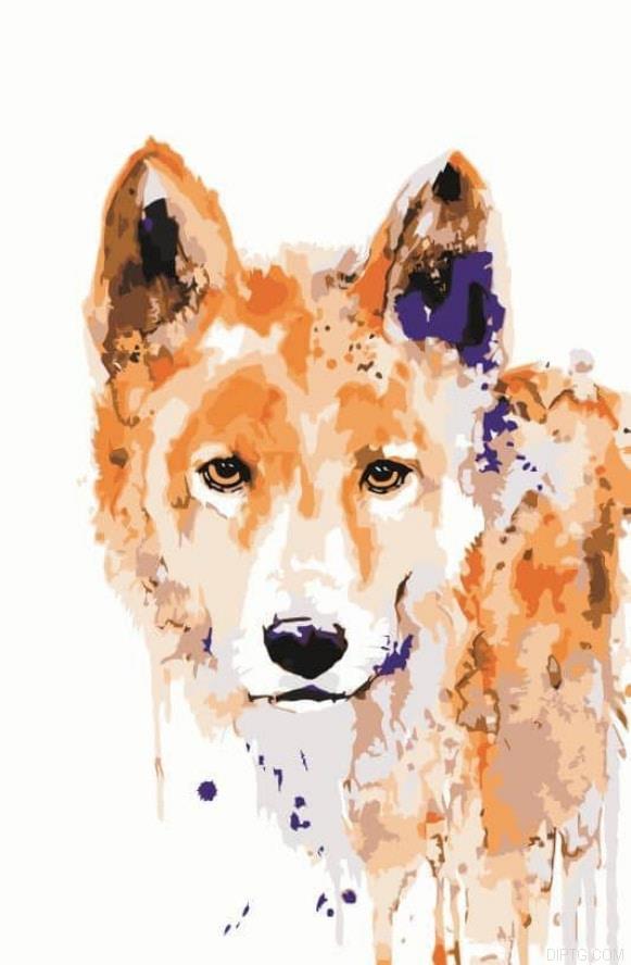Brown Wolf 5D Full Drill Diamond Painting
