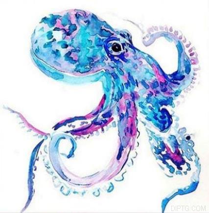 Colorful Octopus.jpg