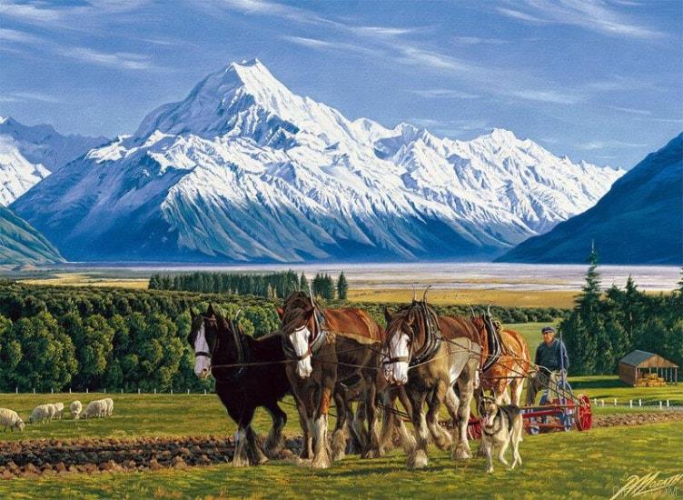 Mt. Cook and Clydesdales Ploughing Agricultural
