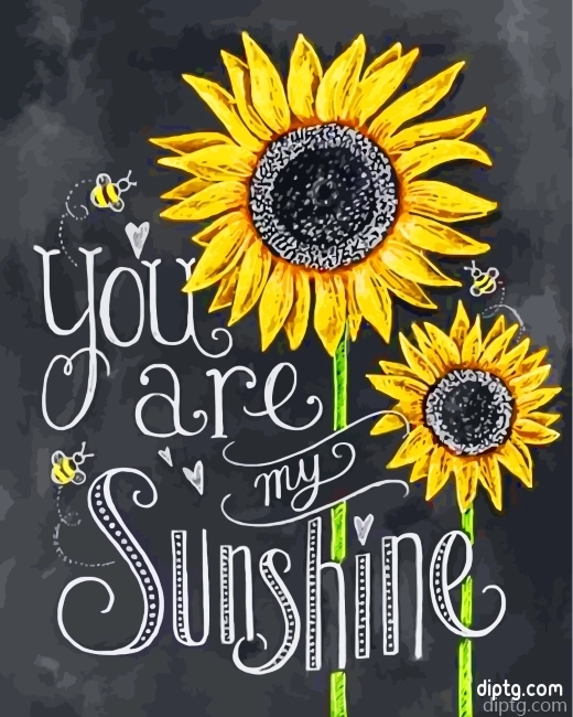 You Are My Sunshine Painting By Numbers Kits.png