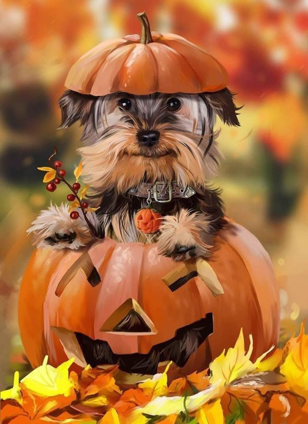 Thanksgiving Cute Dog Home Diamond Painting