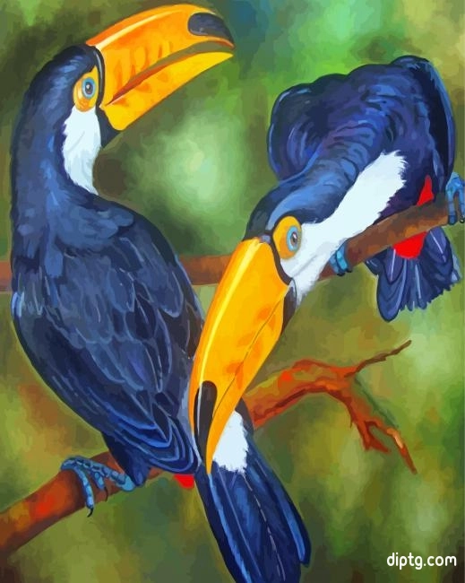 Toucans Birds Painting By Numbers Kits.jpg