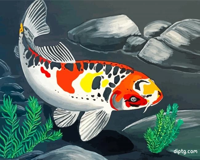 Koi Carp Fish Painting By Numbers Kits.jpg