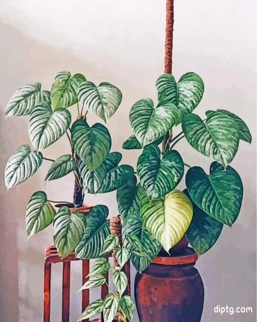 Aesthetic Philodendron Painting By Numbers Kits.jpg