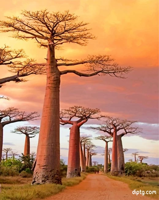 Avenue Of The Baobabs Painting By Numbers Kits.jpg