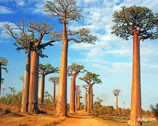 Alley Of The Baobabs Painting By Numbers Kits.jpg