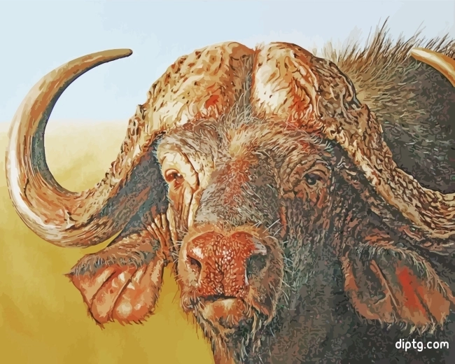 African Buffalo Painting By Numbers Kits.jpg