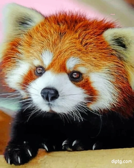 Cute Red Panda Painting By Numbers Kits.jpg