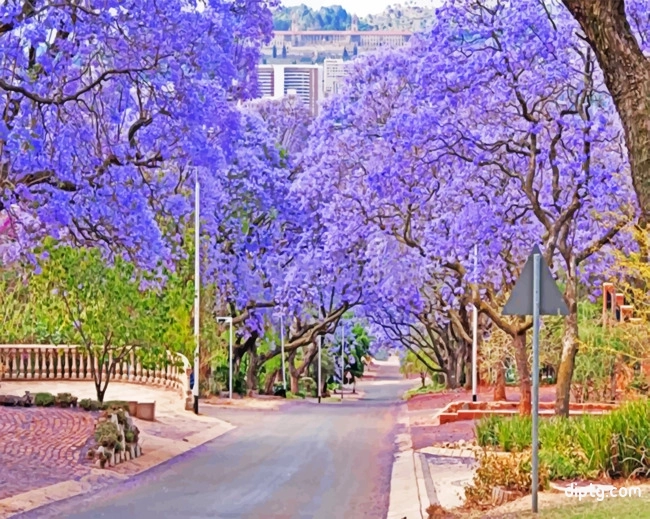Purple Bloom Pretoria Painting By Numbers Kits.jpg