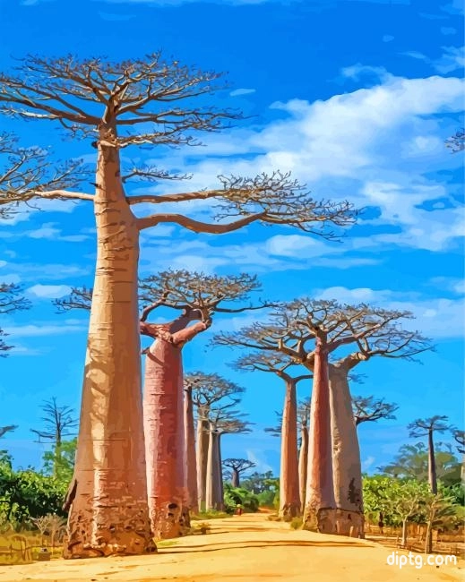 Madagascar Baobabs Trees Painting By Numbers Kits.jpg