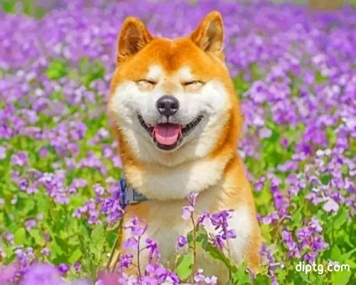 Smiling Shiba Inu Painting By Numbers Kits.jpg