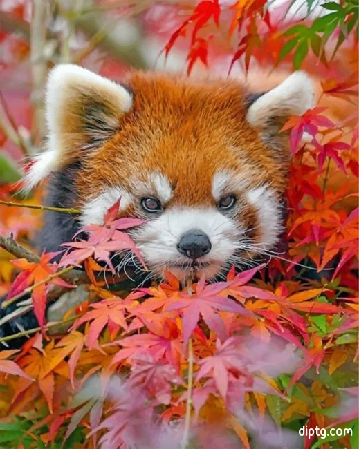 Red Panda And Leaves Painting By Numbers Kits.jpg