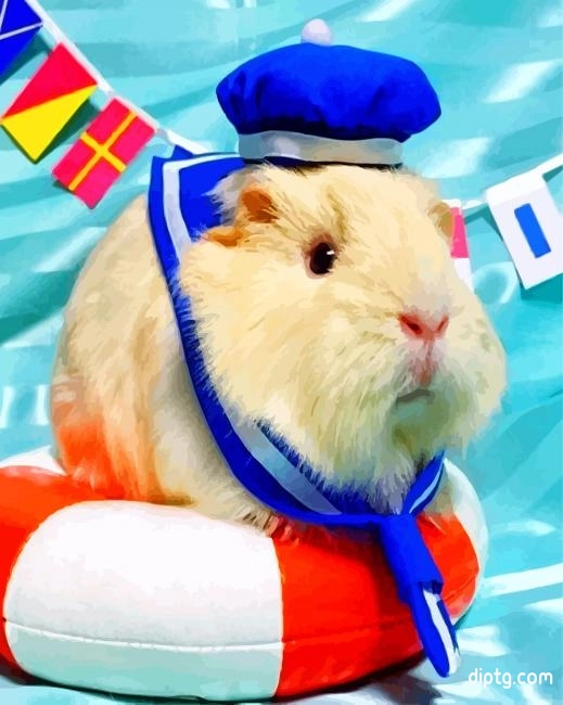 Guinea Pig Sailor Painting By Numbers Kits.jpg