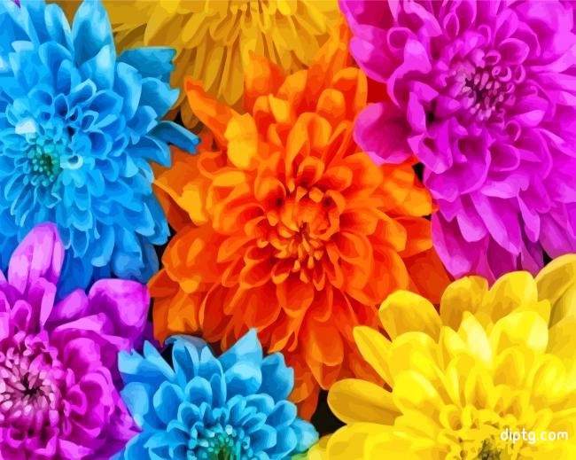 Colorful Chrysanthemum Painting By Numbers Kits.jpg