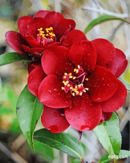 Aesthetic Red Camellia Painting By Numbers Kits.jpg