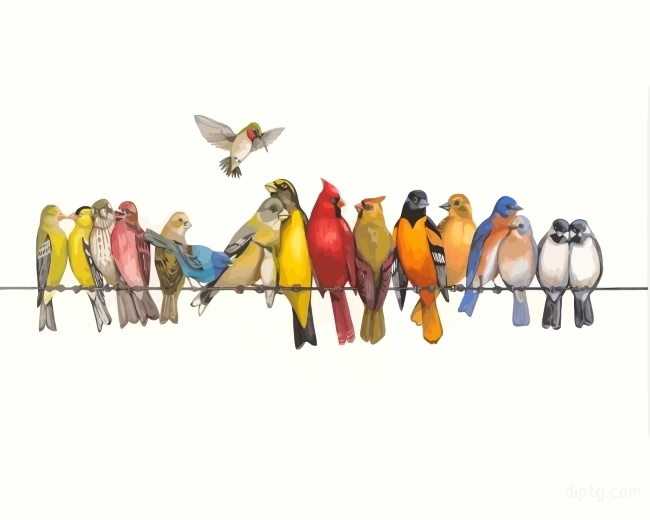 Birds Species On Wire Painting By Numbers Kits.jpg