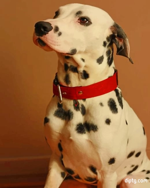 Dalmatian Breed Dog Painting By Numbers Kits.jpg