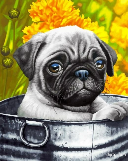 Cute Pug Painting By Numbers Kits.jpg