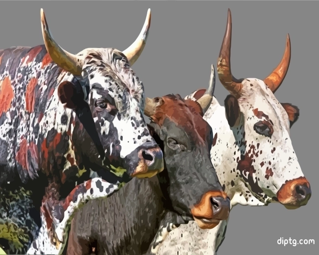 Nguni Cattle Painting By Numbers Kits.jpg