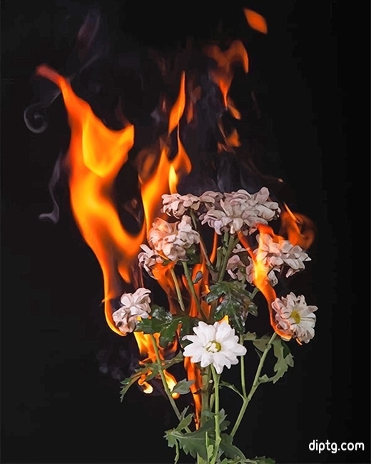 Burning Flowers Painting By Numbers Kits.jpg