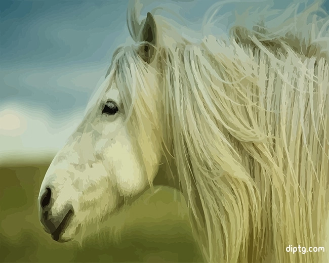 Stallion Horse Painting By Numbers Kits.jpg