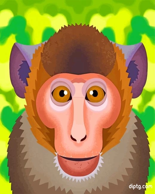 Macaque Monkey Painting By Numbers Kits.jpg
