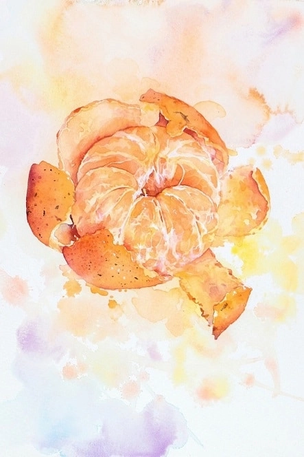 Clementine Painting By Numbers Kits.jpg