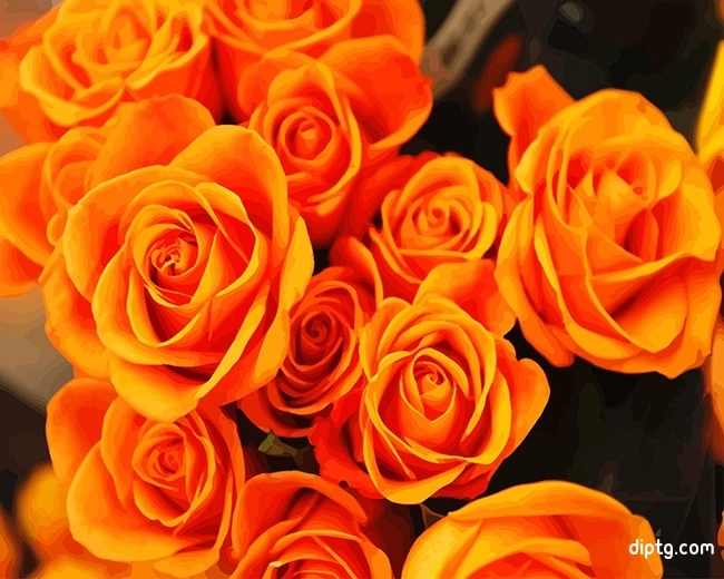 Beautiful Orange Flowers Painting By Numbers Kits.jpg