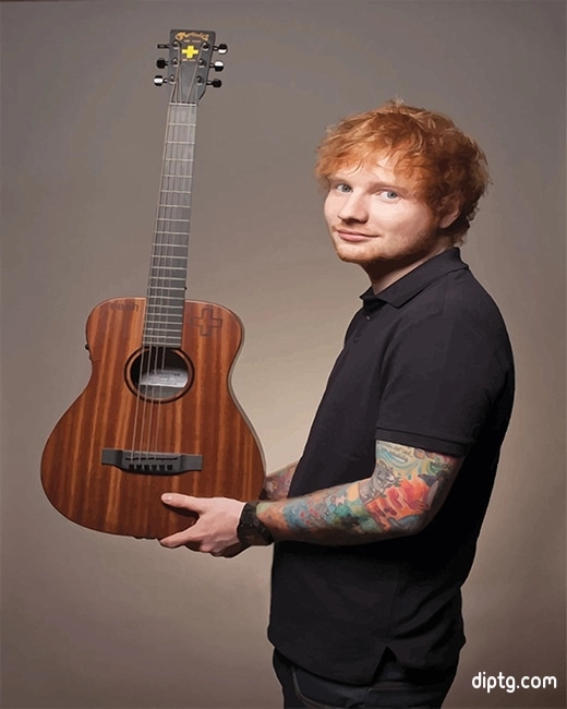 Martin Ed Sheeran Painting By Numbers Kits.jpg